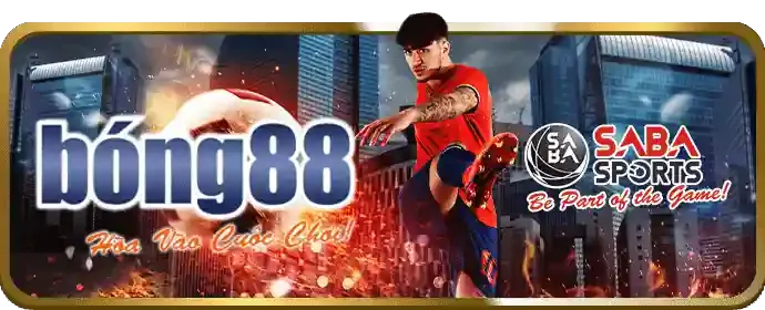 Nguồn thông tin chính thức